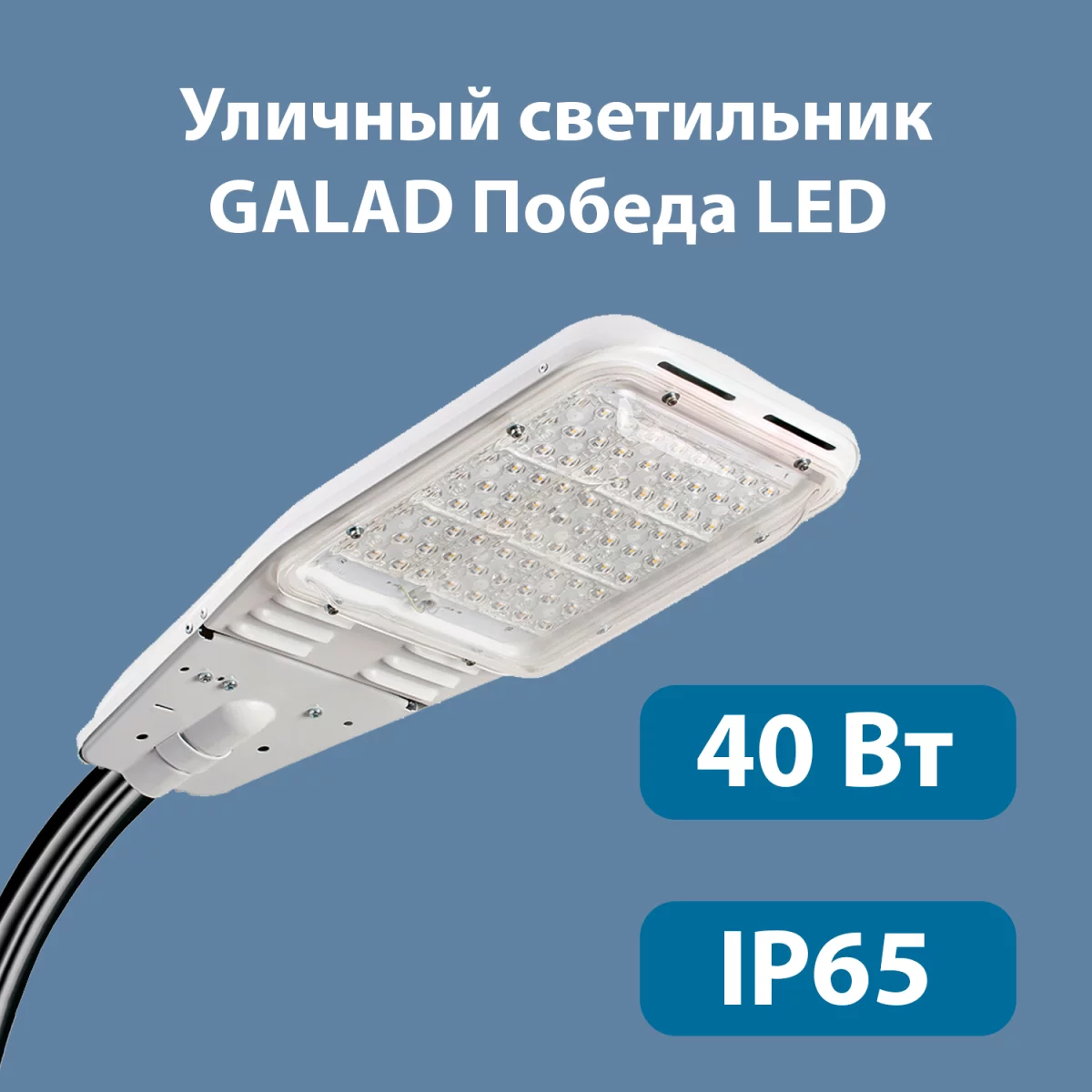 Уличный светодиодный светильник GALAD Победа LED-40-К/К50 купить в  Краснодаре – «Описвет»