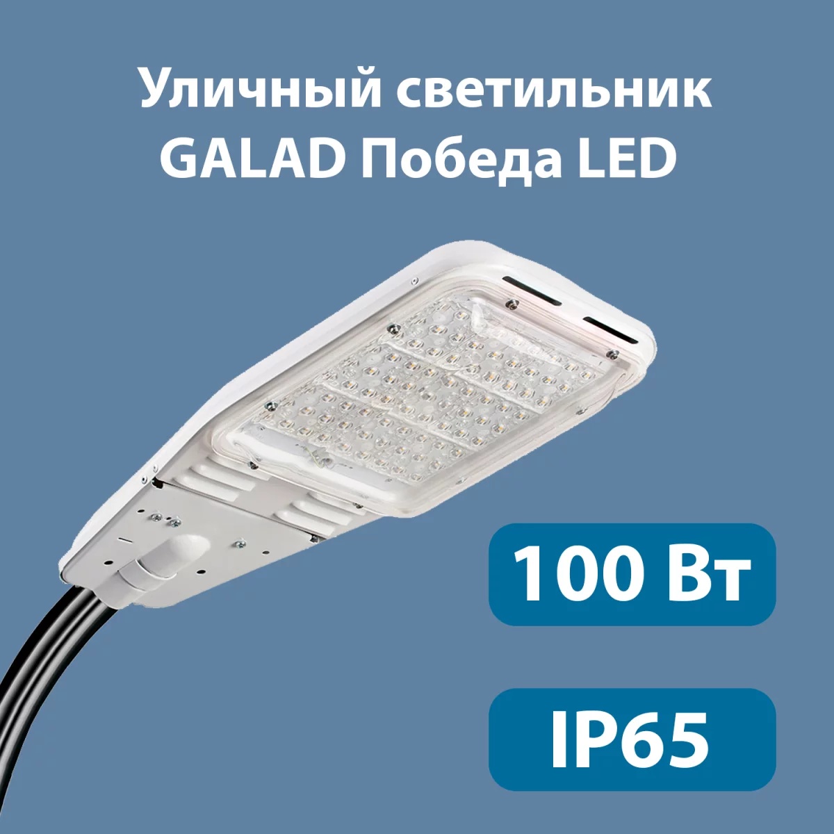 Уличный светодиодный светильник GALAD Победа LED-100-К/К50 купить в  Краснодаре – «Описвет»