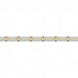 Светодиодная лента RT6-3528-240 24V Day4000 4x (1200 LED) (Arlight, 19.2 Вт/м, IP20) (017431)