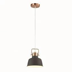 Подвесной светильник Odeon Light Pendant 3325/1